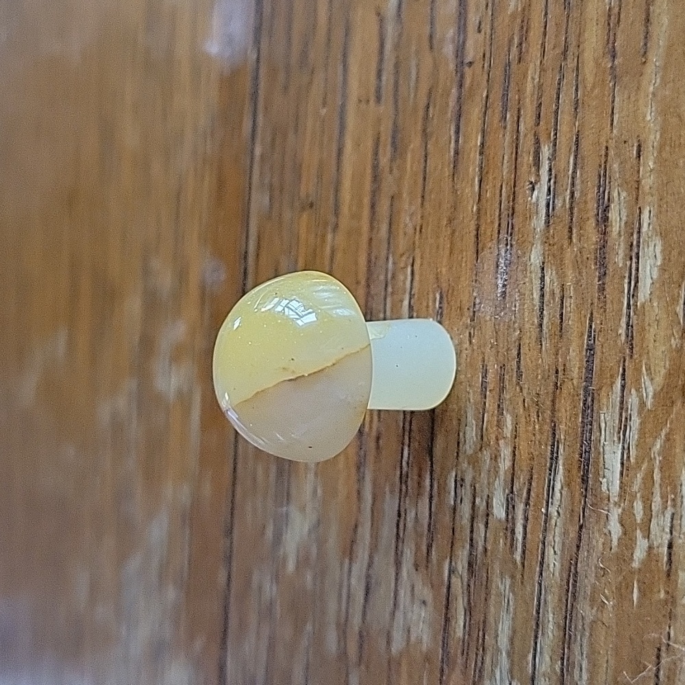 Golden healer mushroom